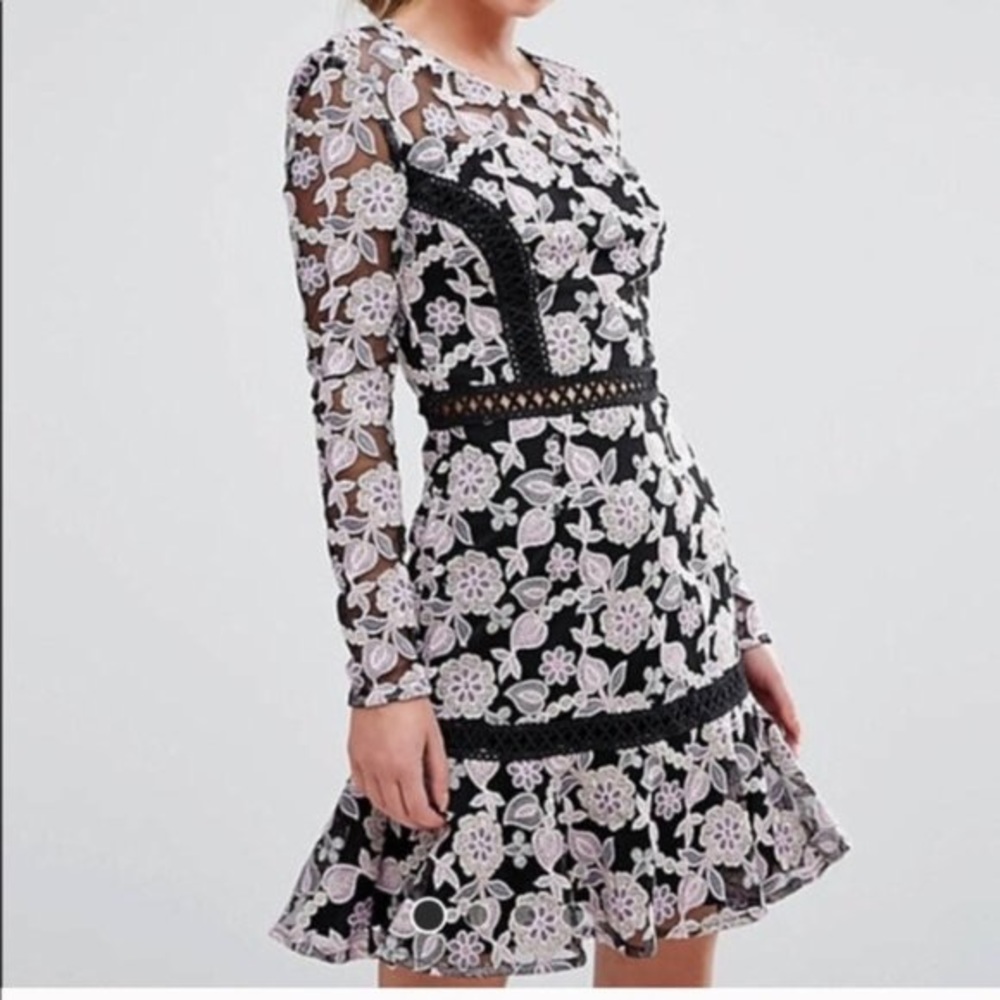 True Decadence NEW Floral Embroidered Mini Dress